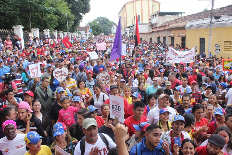 marcha x la constituyente (4)