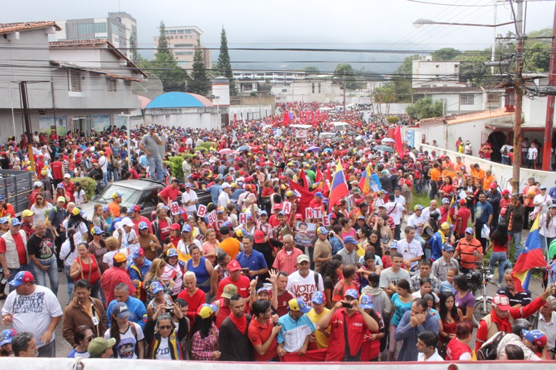 marcha x la constituyente (40)