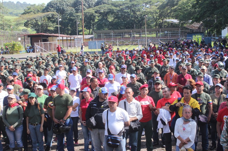 desfile civicomilitar (536)