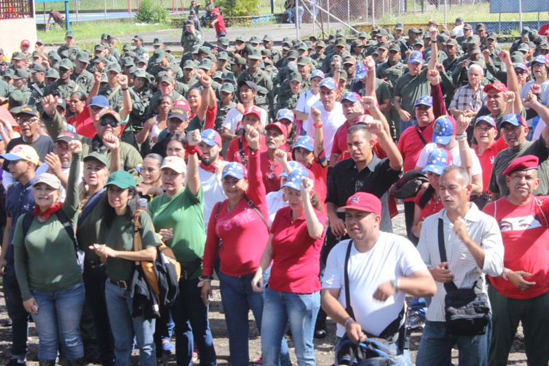 desfile civicomilitar (562)