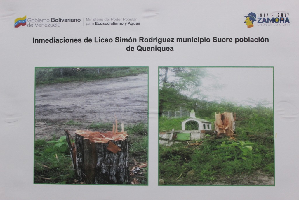 rdp seguridad y daños ambientales en tachira (5)