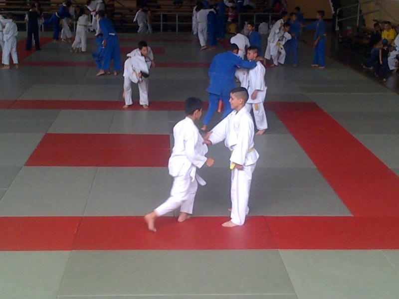 IMG Judo Táchira Marzo 2017 (8)