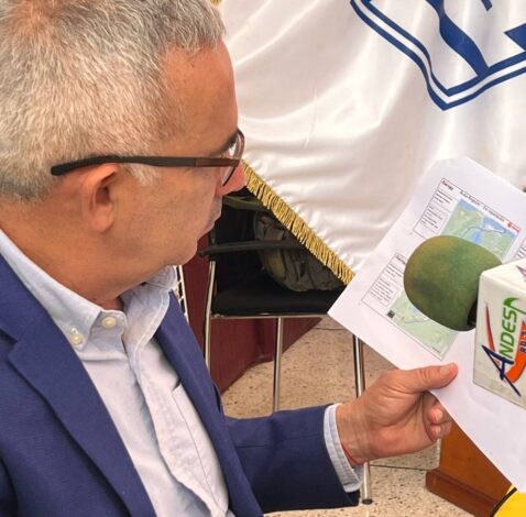 Bernal: lluvias han impactado en 60% distribución de gas y gasolina en Táchira