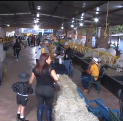 Gobernador Freddy Bernal: Táchira ofrece un trabajo próspero y seguro para productores del campo