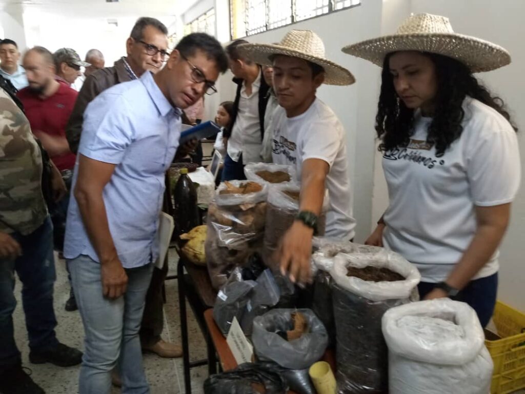 Táchira busca reposicionarse en el mercado nacional e internacional con producción de café