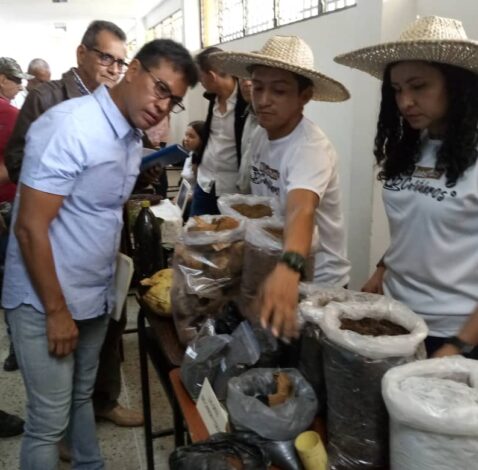 Táchira busca reposicionarse en el mercado nacional e internacional con producción de café